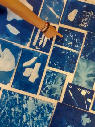 Les cyanotypes