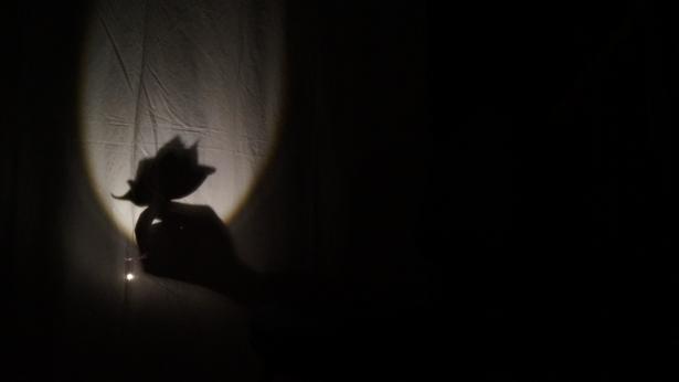 expériences lumière