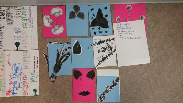 collages