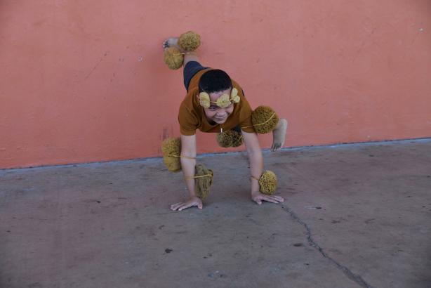 eponge