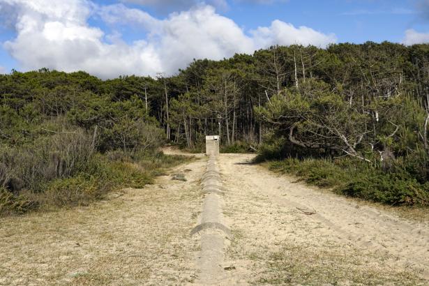 Gascon Papier Dorian Degoutte Landes Plage de l'Especier La patrimoinde de l'ordinaire