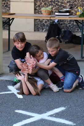 l'achillée millefeuille