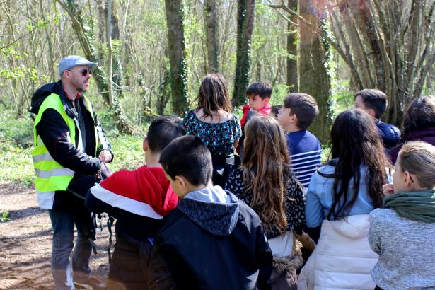 sortie forêt