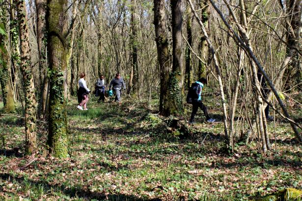 sortie forêt