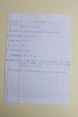 Fiche