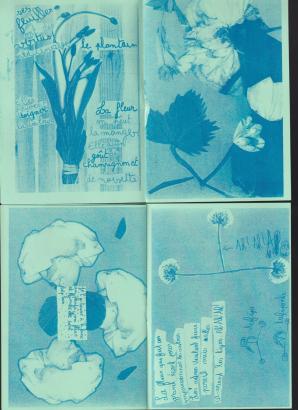 nos souvenirs venus des plantes