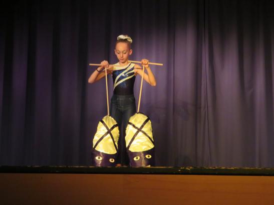 chausson de danse