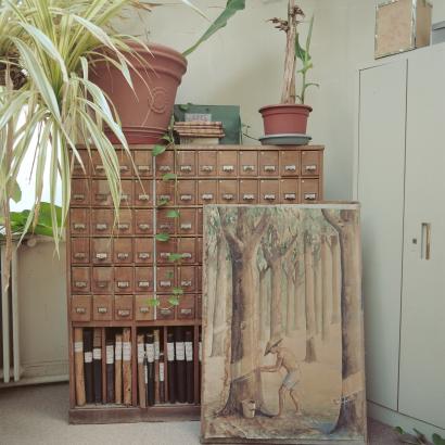 Jardin d’Agronomie Tropicale, Bois de Vincennes | Mana Kikuta
