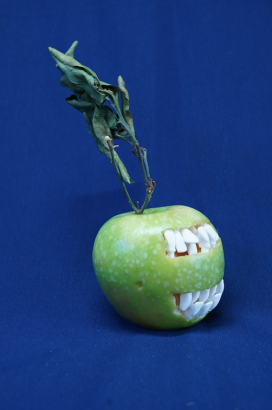 corpsparlant5