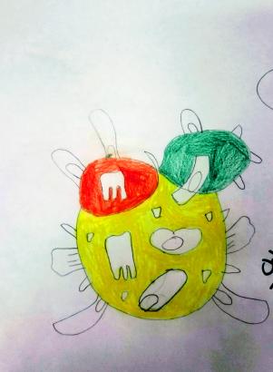 dessin7