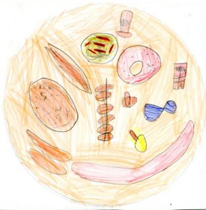 assiette-4