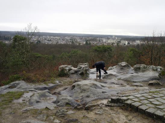 Chenxin Tang - Nettoyage, au massif de Fontainebleau