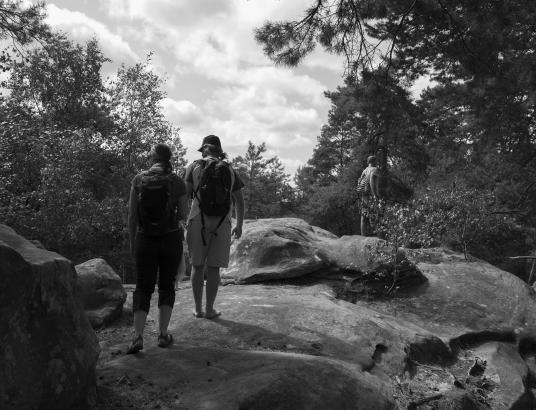 Chenxin Tang - Passage aérien, au Sentier Denecourt n°15