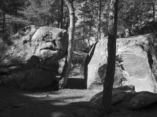 Chenxin Tang - Sentier d'aller au Rocher d'Avon