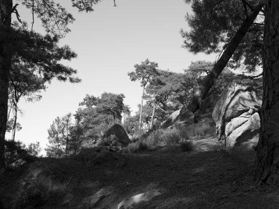 Chenxin Tang - Vue au Sentier D. n° 10, 2