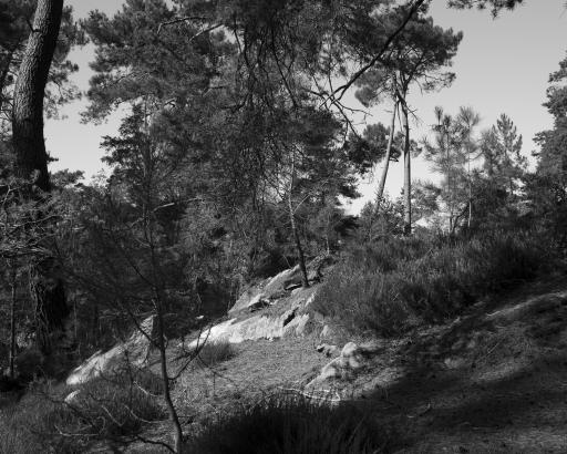 Chenxin Tang - Vue au Sentier D. n° 10