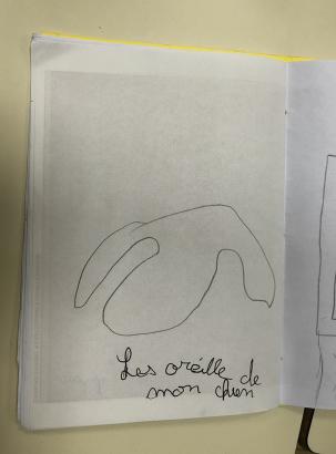Dessin d'observation/imagination