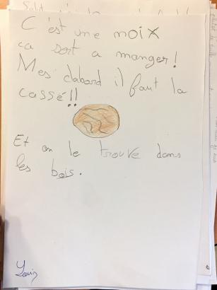 C'est une noix