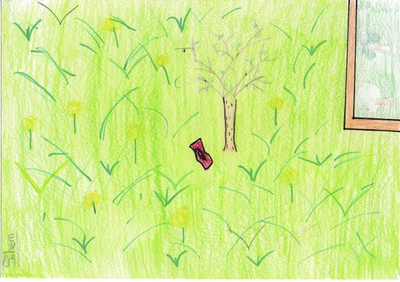 le jardin, dessin