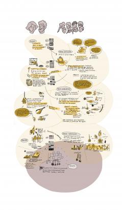 Cette planche décrit les différentes étapes de travail entre la recherche (gauche) et les phases de transmissions (droite), au centre les calendriers indiquent la temporalité des étapes de travail. Nous voyons que les étapes transmission et recherches sont connectées et pour certaines s'effectuent en simultané sur les semaines où nous sommes présents dans la commune.