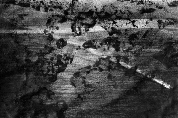 Transformation plastique d'une photographie 6