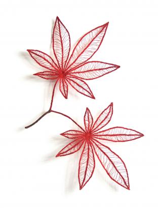 Meredith Woolnough
