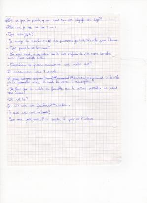groupe 3 