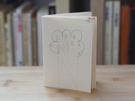 Photos des carnets