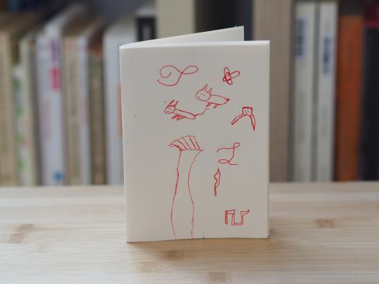 Photos des carnets