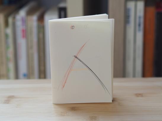 Photos des carnets