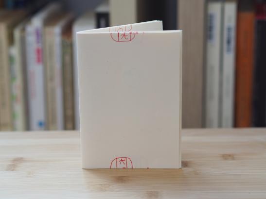 Photos des carnets
