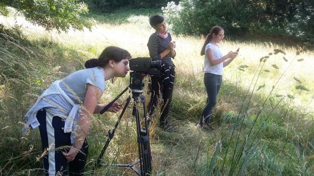 action !