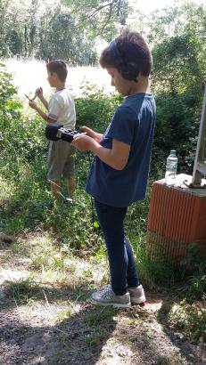 enregistrement des hurlements de loups