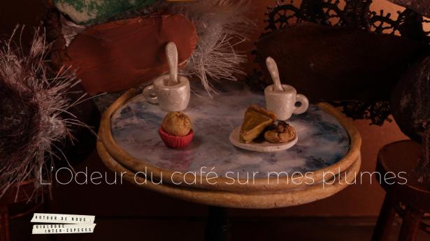 canard 