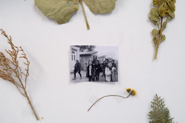 Herbier