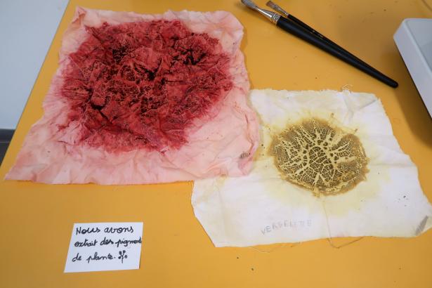 Pigments