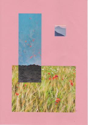 Collage élève 5