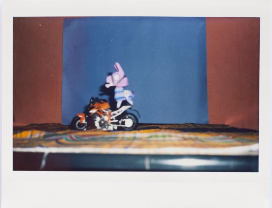 Les photographies réalisées par les enfants