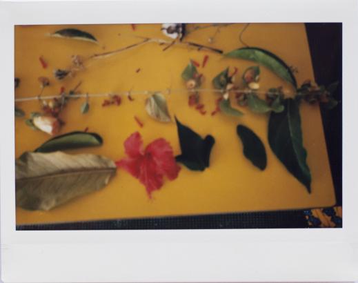 Les photographies réalisées par les enfants