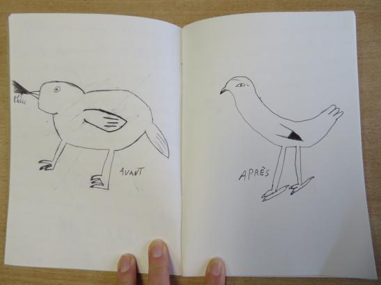 oiseaux d'eau