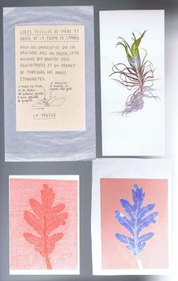 monotypes