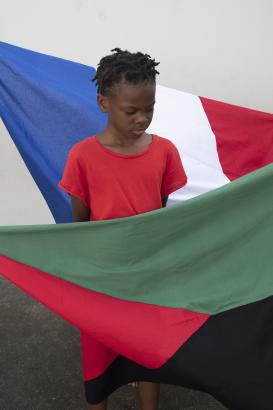 les drapeaux
