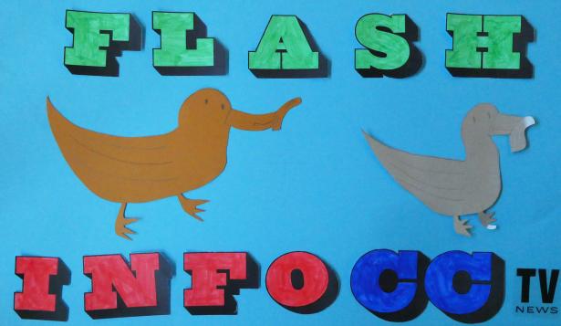 Proposition pour le titre "Flash info"