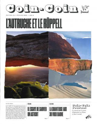 L'autruche et le rüppell