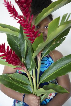 fleurs