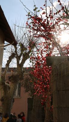 Le Teil printemps