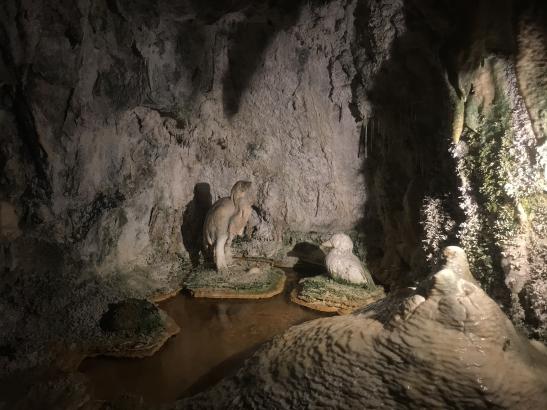 Fontaines Pétrifiantes