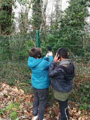 Enregistrement au bord de la forêt
