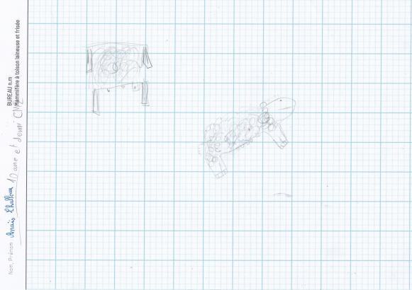 Dessin d'Anaïs