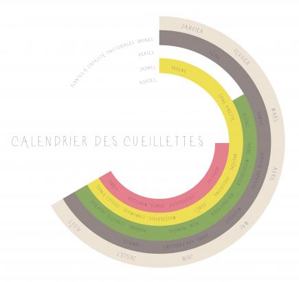 Calendrier indiquant les végétaux pouvant être cueillis selon leur chromie tinctoriale sur le territoire Grand-Ouest.